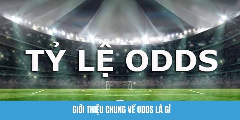 Giới thiệu chung về odds là gì