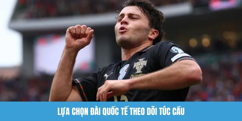 Lựa chọn đài quốc tế theo dõi túc cầu