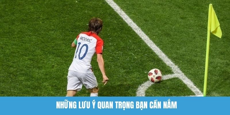 Những lưu ý quan trọng bạn cần nắm