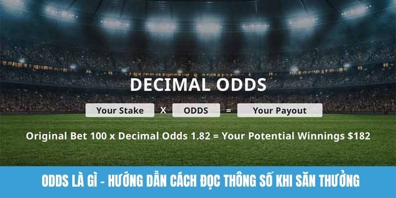 Odds là gì