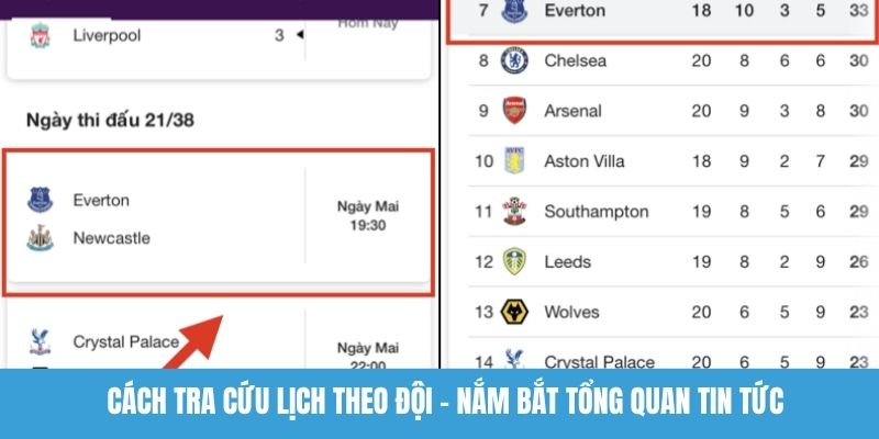 Cách tra cứu lịch theo đội