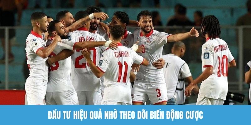 Đầu tư hiệu quả nhờ theo dõi biến động cược